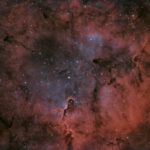 Elefantenrüsselnebel