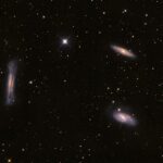 Leo Triplett