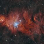 Weihnachtsbaumcluster