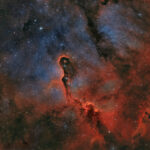 Elefantenrüsselnebel