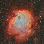 Affenkopfnebel (HaSHO)